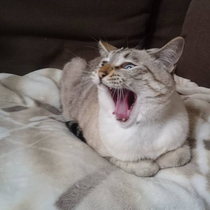 497fe5a7 215f 4123 8a7b 8c5f1843fc86 1507897123901