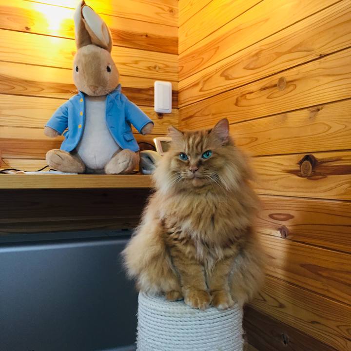 497ff3a6 622f 4dd9 92f0 0ebd6677bdeb 1624826245899