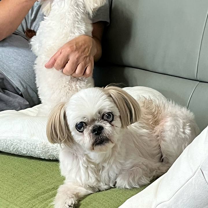 497fff92 8209 4129 a059 078d11344d09 1695109325796