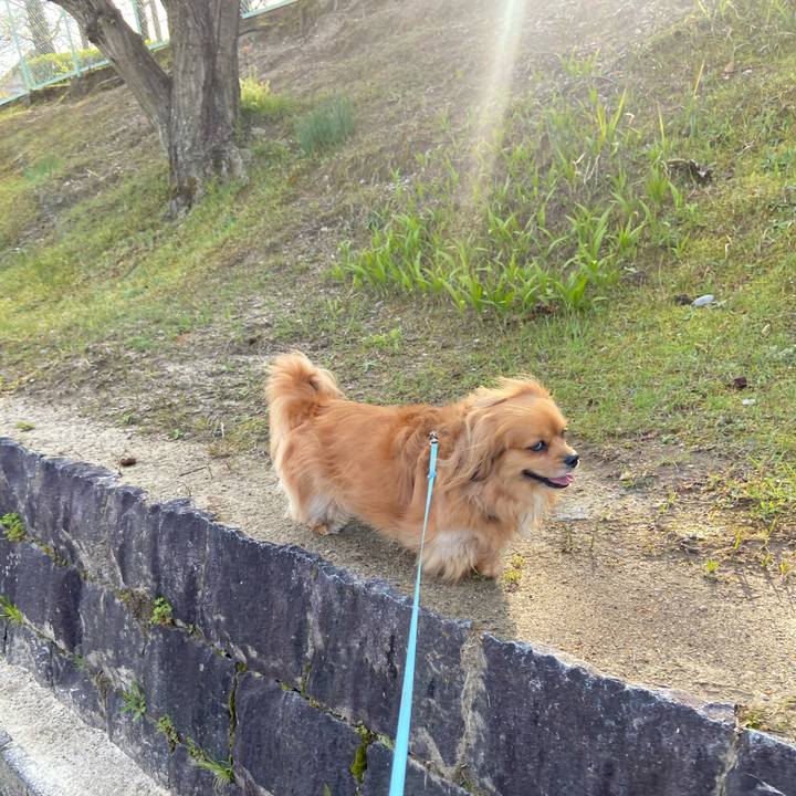 49800bc9 90d7 4480 a26f b078ce23d188 1587513346154