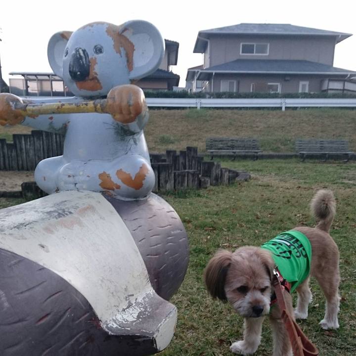 49805794 20f1 4036 83e4 0f0e142d6a0e 1511771952221