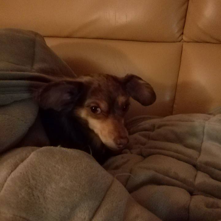 4980ada5 1c42 4188 bc2a 830261977719 1523275528863