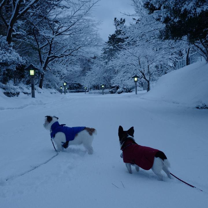 4980c69a c065 47f9 b938 4071b5205ef9 1518487483694