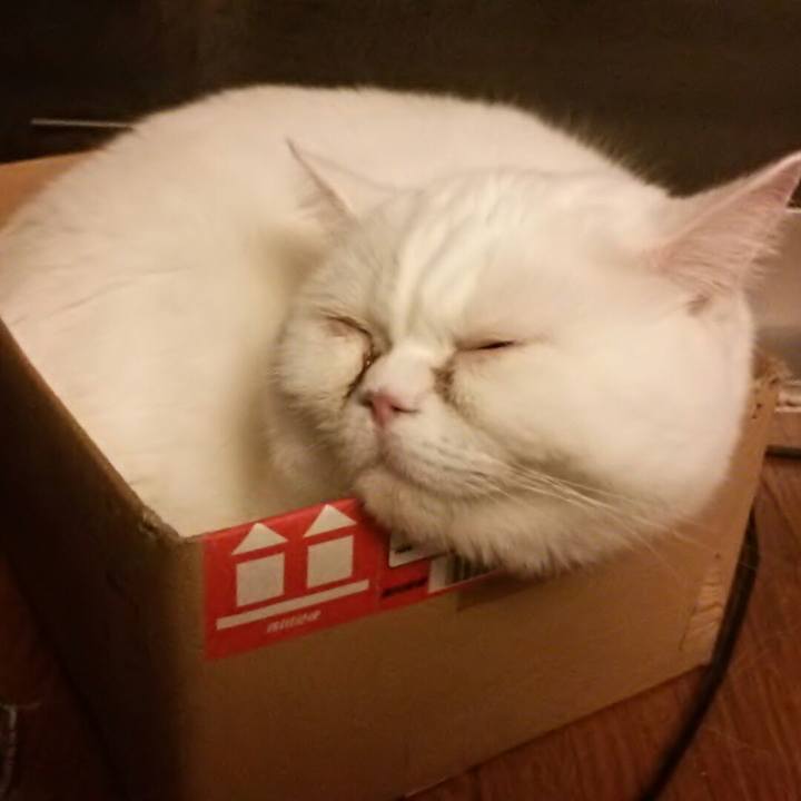 4980c78b a130 479e 9865 b4d5e3dfecd6 1543147740713