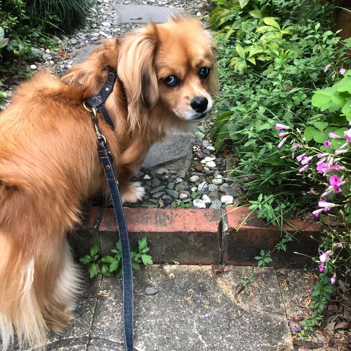 4980e0fe c686 43b8 8545 df1732a1937e 1540935992529