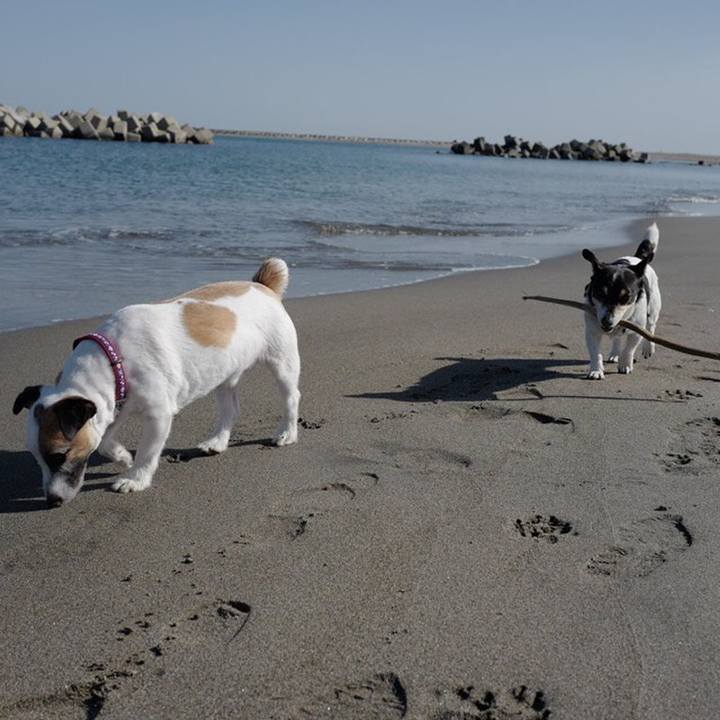 4980f92e da1c 497f b355 c00dd0d5d371 1558582509788