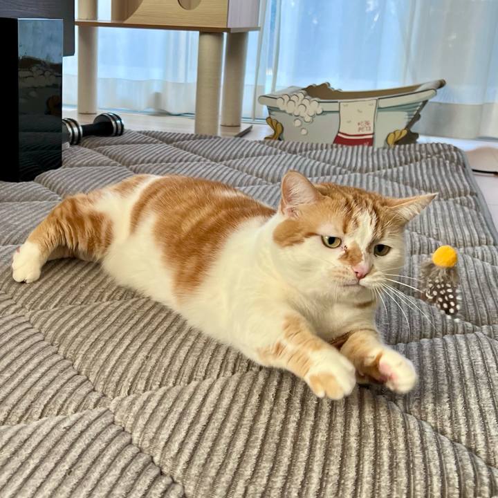 4980fc3b 09ec 41ef 8d17 408890e89475 1773287081787