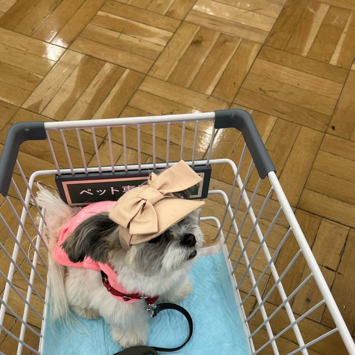 4981256b a38e 431b 842f f46cb9fd32ac 1650883657031