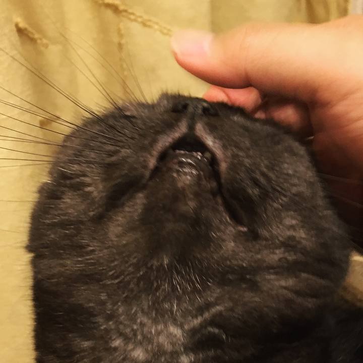 498126ec c0e3 4d88 b25e d5c127b6ec19 1534519132306