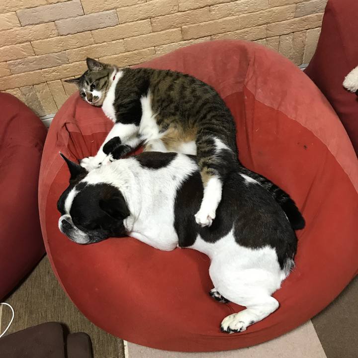 498150c9 c16f 4eeb 89aa c258c2b13b5e 1555719870410