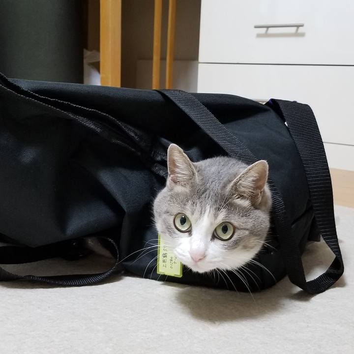 49818912 1b60 4310 bd1c 1f4b85daeef6 1562900089151