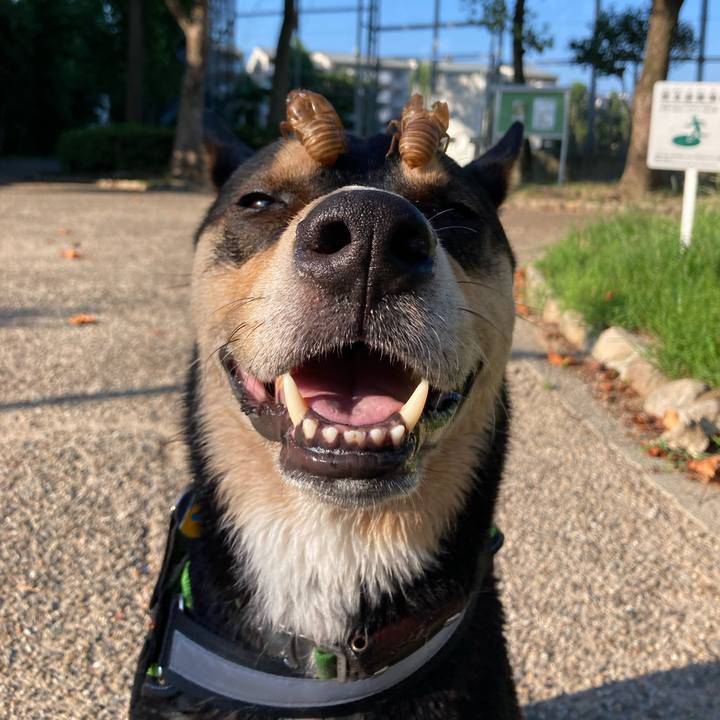 498196ed 6c7a 4dcd 90bc b25e327216a6 1657458514390