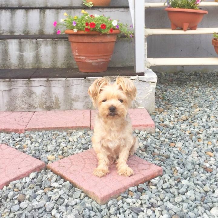 49819ba0 0c0d 462f b21a c7cc4cba84c2 1535063750052