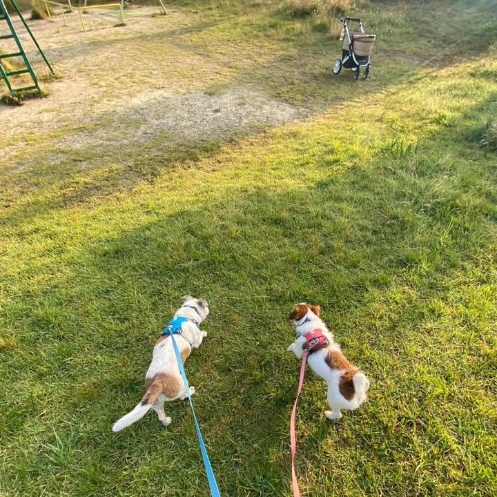 49819e23 acaa 407f a1b4 bdefd9d40600 1718054234800