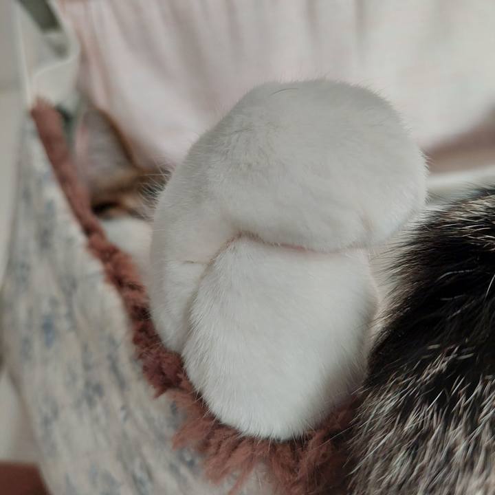 4981ad2c 68b1 41ec 87cd 0f685808475c 1696638256917