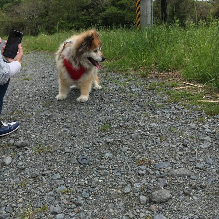 4982140a 6f21 4640 8fe3 2e78261f7641 1589345922600