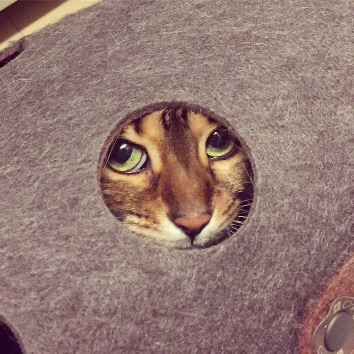 49821efe 4090 402a af5e ae47551ce894 1522454670699