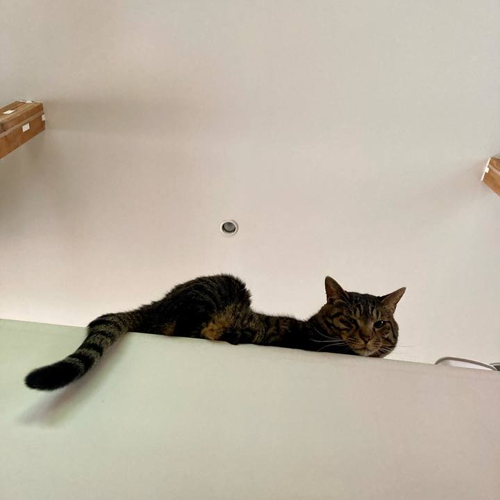 49822ad6 a633 4318 875e 20e478b8f0af 1688167247122