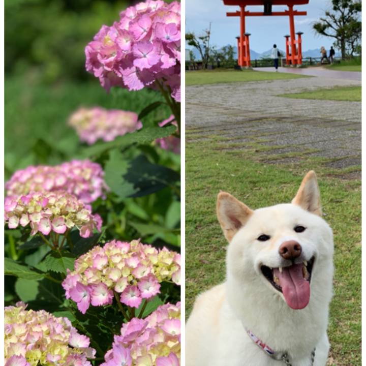 49824f45 dc47 4256 a8f8 9399307145b1 1560917207686