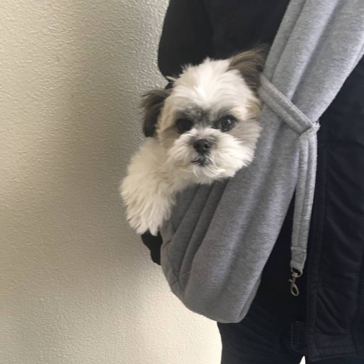 49826801 c048 4d7c 9704 0d6281fcfb88 1513495674699