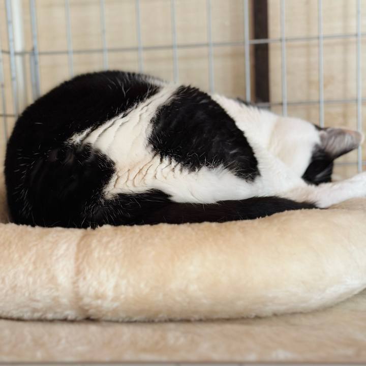 4982bdee e2aa 4fae 927b 627b7e839d6b 1706059378800