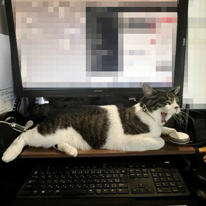 4982e350 0f26 477a 9a10 a575cd6d5e8b 1760780237319