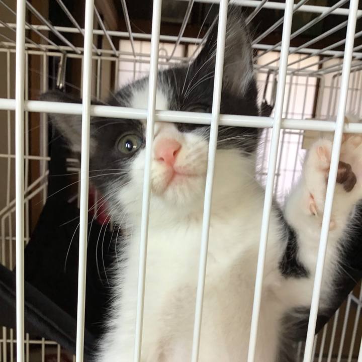 4982edf4 a15f 47de b159 62b095915444 1623214218590