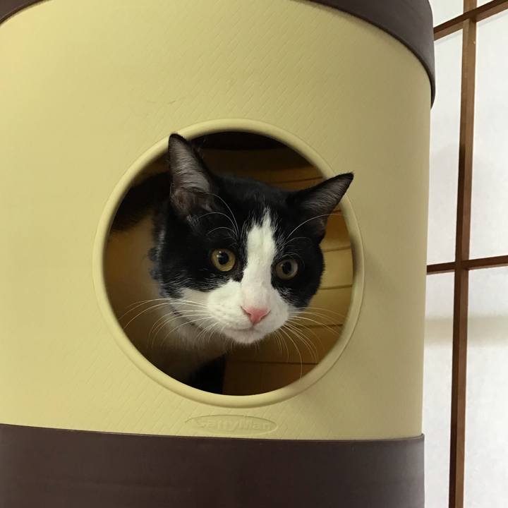 4982fe7d 87ed 44c9 b22c 5edf5bad9bab 1642654255868