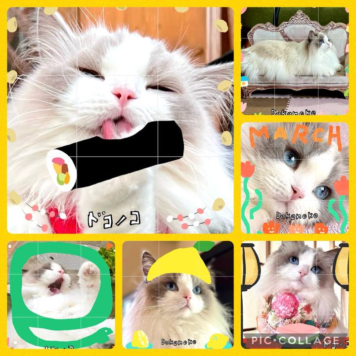 498303c2 9c3e 45ae a292 d23dadfc3d2a 1741158453790