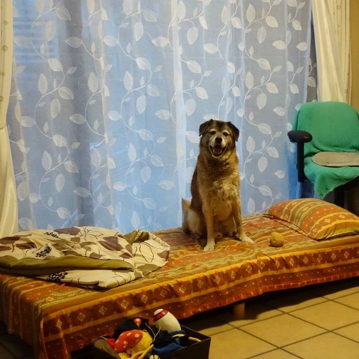 498338e8 b28d 42f7 8c47 4d0cd5fc40a1 1676510240799