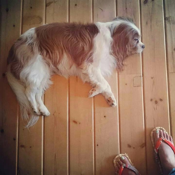 49833dfd 8744 467e 8fb4 23b2be850640 1534287411922