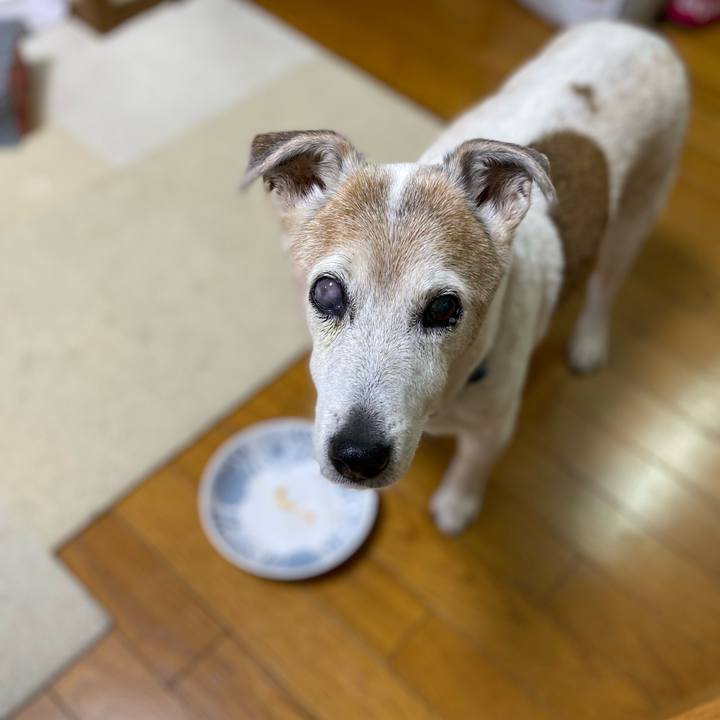 49835146 7362 4579 bd8b 982a9f688b2c 1677111768919