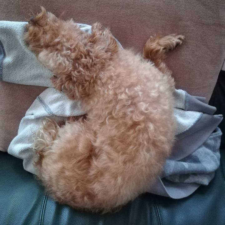 4983ac18 3fed 4653 afc9 e5614803dd59 1537826898489