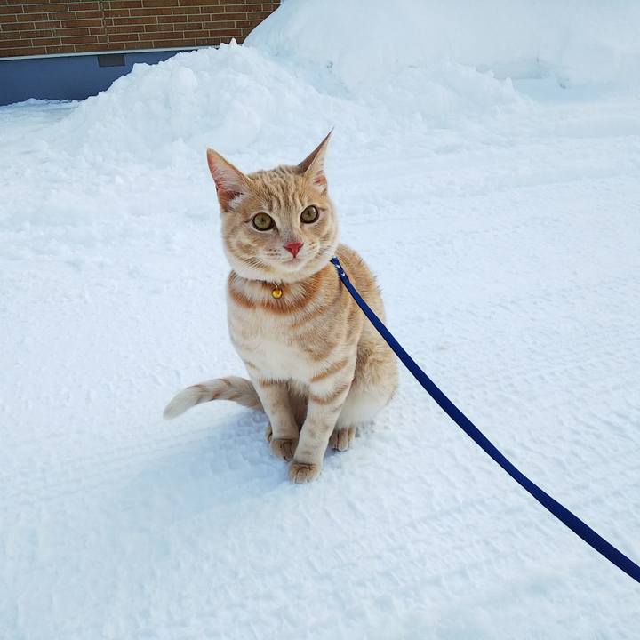 4983b85a cbae 46ec b593 f5b6892e9217 1548476915254