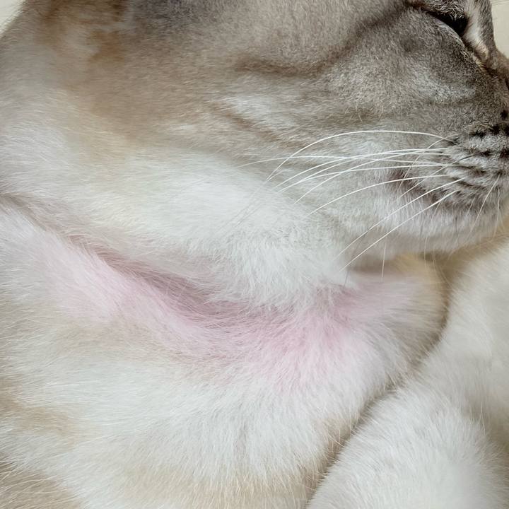 4983ca63 1c93 40c6 8c04 ae3365d4aee0 1672879881870