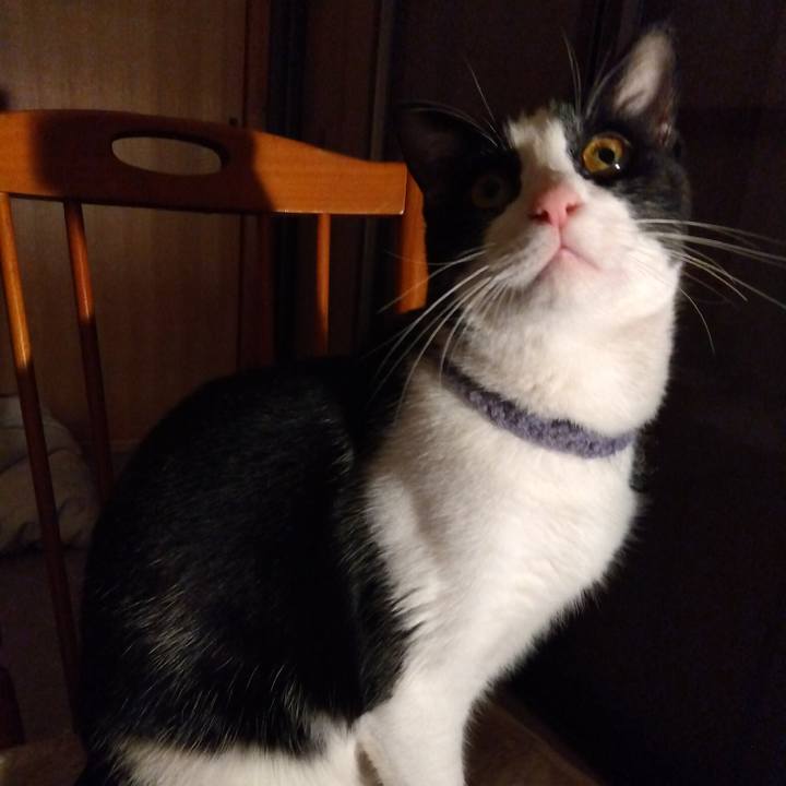 4983d039 7341 4f81 8f7d bbf95c376fc7 1698758964383