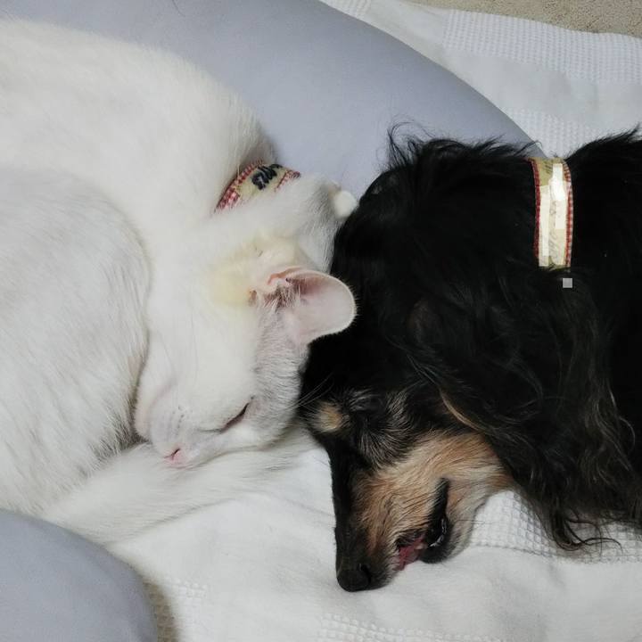 49840ca2 69db 4df5 9ecb ec5b658151f5 1636886188897