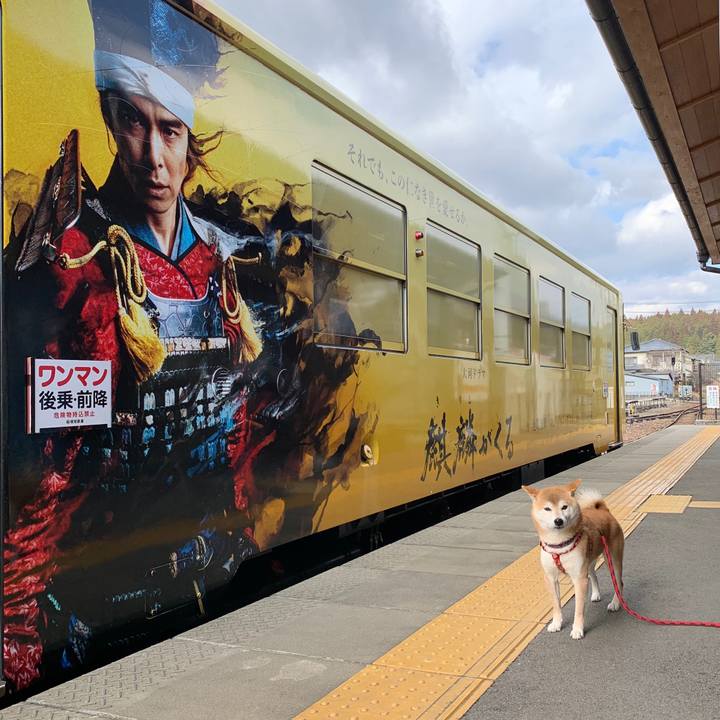 49843af9 4c0c 4a20 8d00 0e21335d7f80 1579086785930