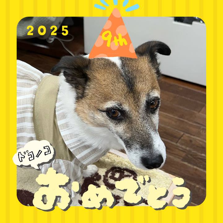 49844678 5f51 4975 bf45 e818496d2541 1749123823658