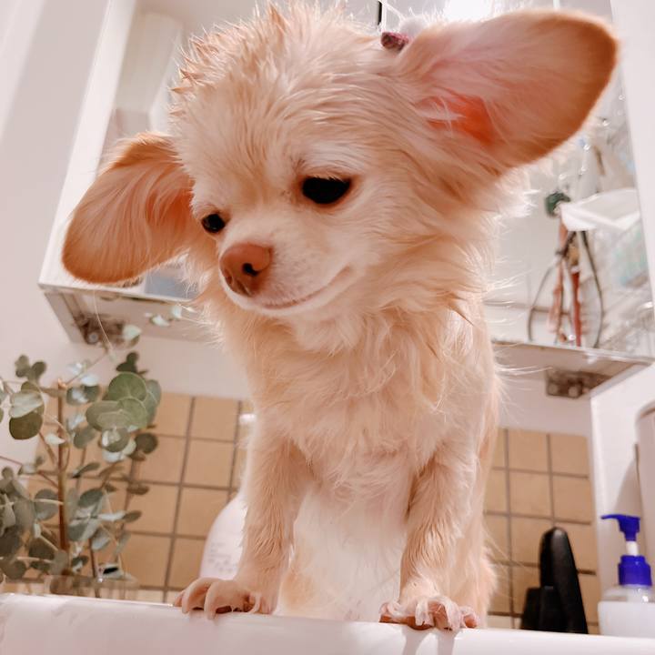 4984ce30 eafe 46b2 a8fe f187d1a89037 1677133547332