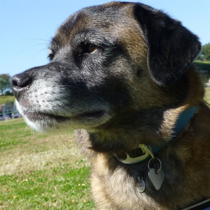 4984d588 2d8c 4a83 ba56 d2b8c543d9ec 1579132995206