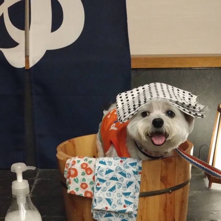 4984e95c 1720 49de be09 d4929db3f54f 1693121298883