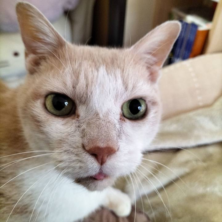 498501f5 836d 46e0 a3ef faa46efb9d5e 1672440770387