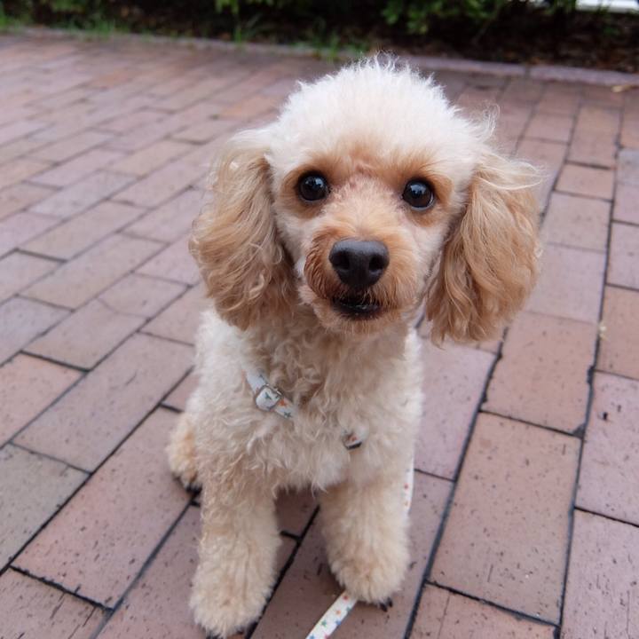 49852d51 d447 4b8b afb6 d1d13fca977d 1536362799594