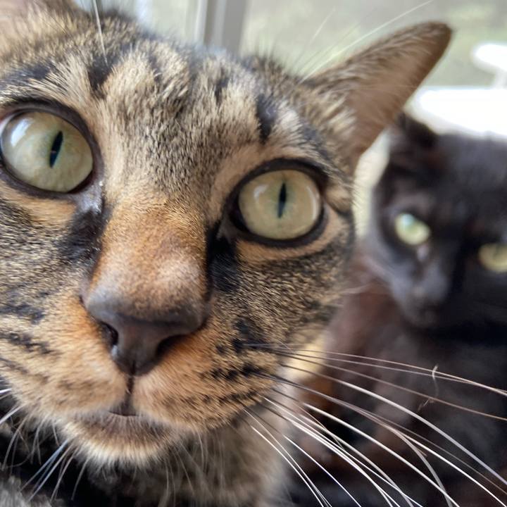 49855966 8c7c 49a1 ba5e bd7c024b8022 1669205475253