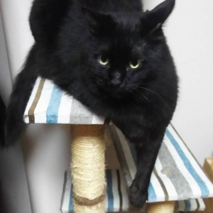 49857049 8de7 47ff 9baa 78f0c5b6bd4e 1507901854353