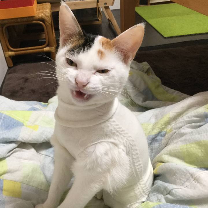 4985851d d42d 44c2 82a6 206c94f81d94 1547175990883