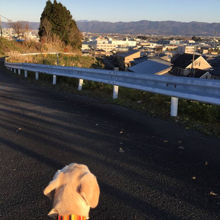 4985d6f5 e208 414c bca1 78c243a0e536 1543734576275