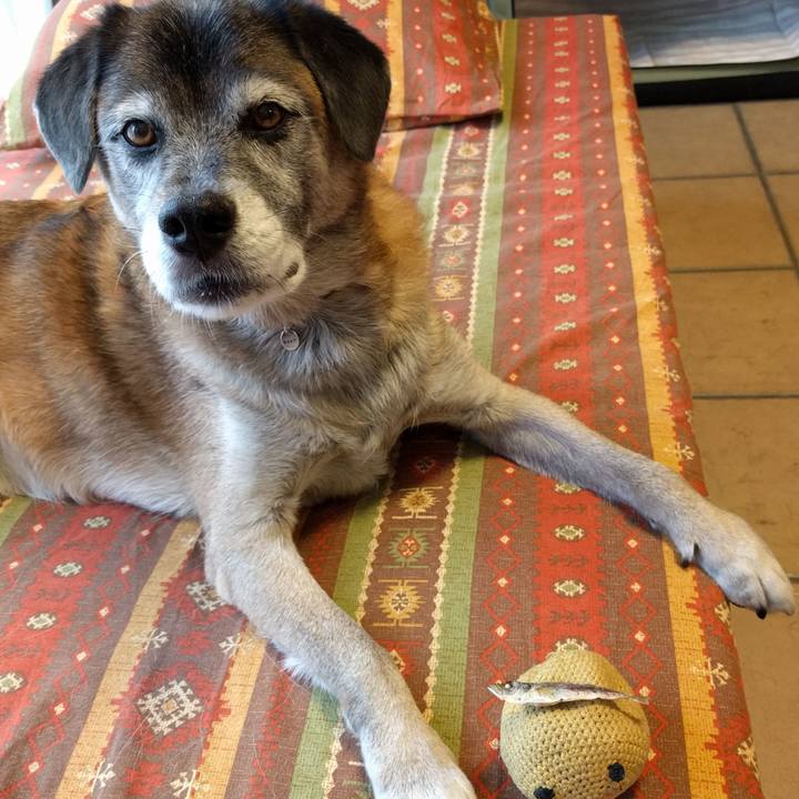 49864b60 c3de 4058 97d2 ab4f92801fa5 1538551512177