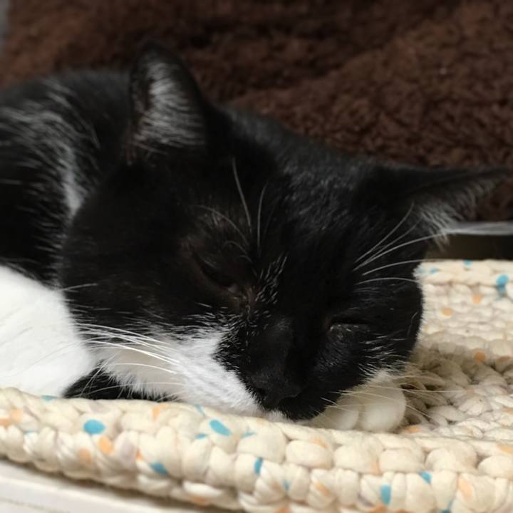 498662ca 5caa 4c6d b5d8 599a7f99d7f3 1570974402406